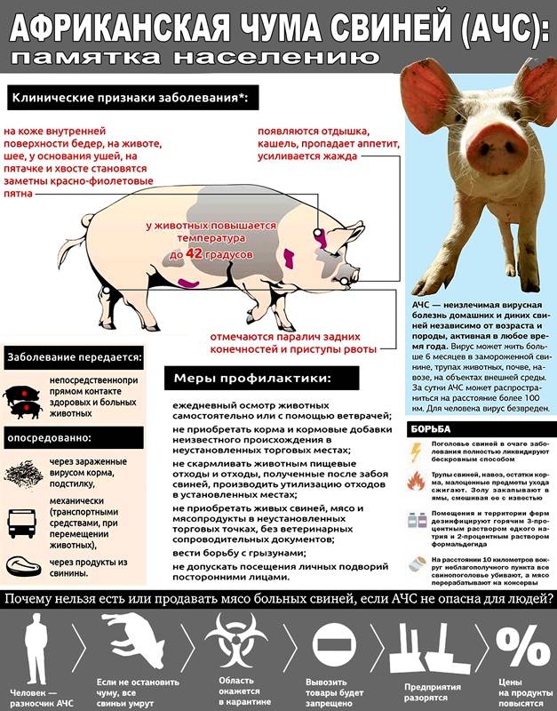 памятка АЧС