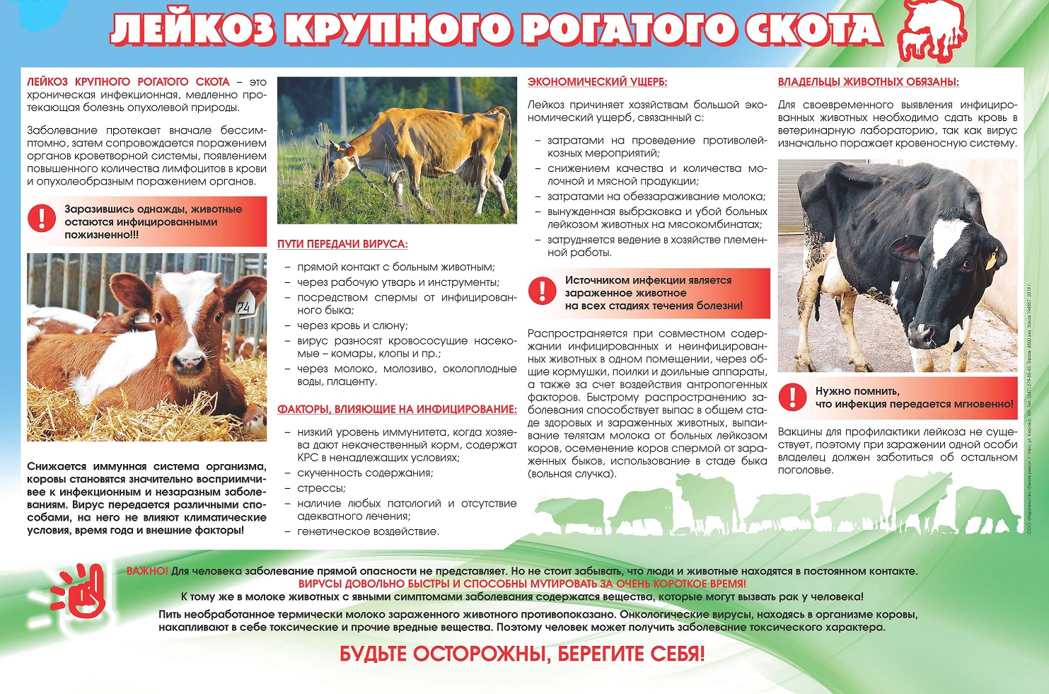 памятка по лейкозу