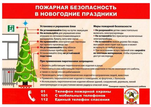 Памятка пожар , новый год