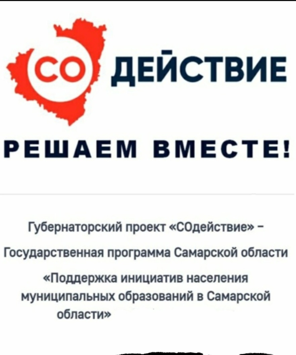 Губернаторский проект "Содействие"