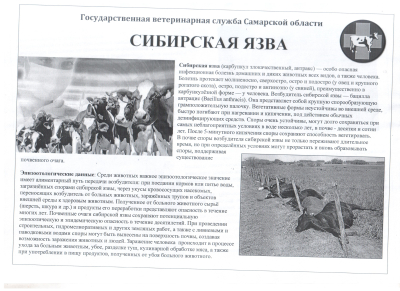 Памятка "Сибирская язва"