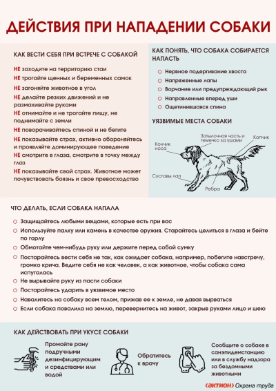 Внимание!!!