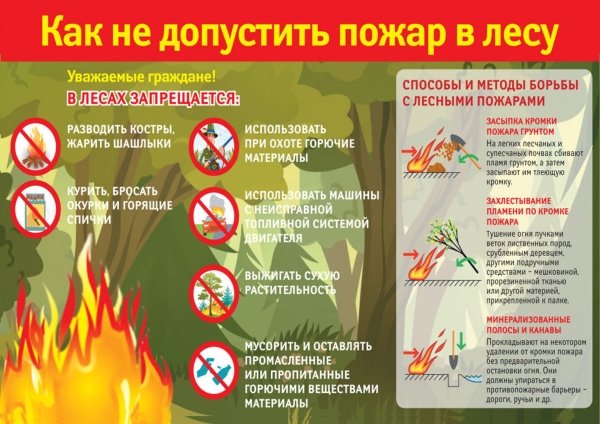 Как не допустить пожар в лесу