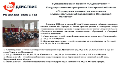 Губернаторский проект "Содействие"