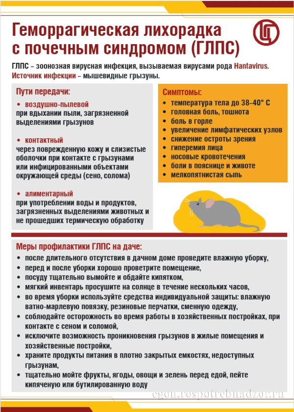 Геморрагическая лихорадка с почечным синдромом