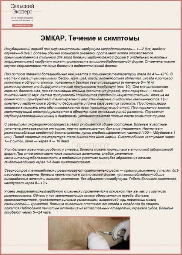 ЭМКАР. Течение и симптомы