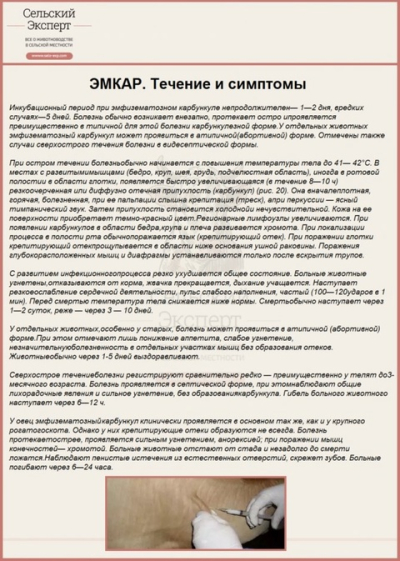 ЭМКАР. Течение и симптомы