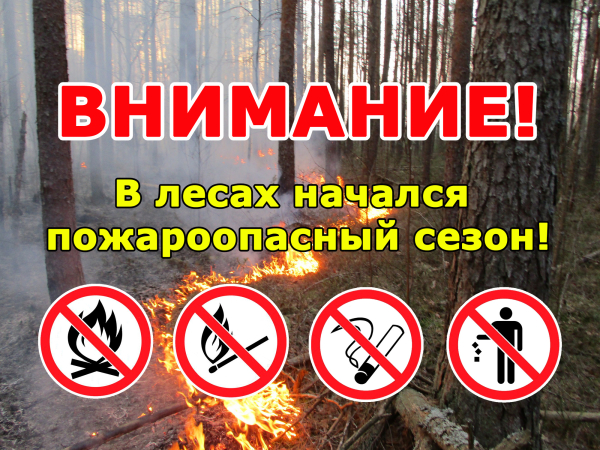 О запретах в лесу
