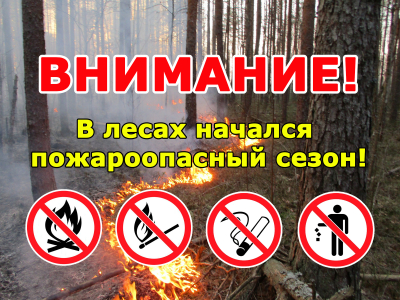 О запретах в лесу
